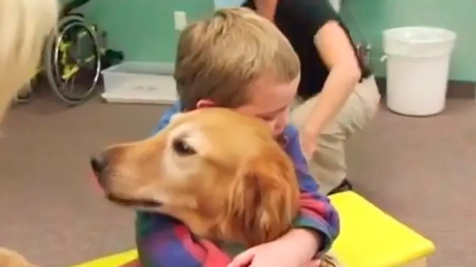 [Vídeo] Un perro logra "devolverle" la vida a un niño después de un accidente que le provocó un daño cerebral
