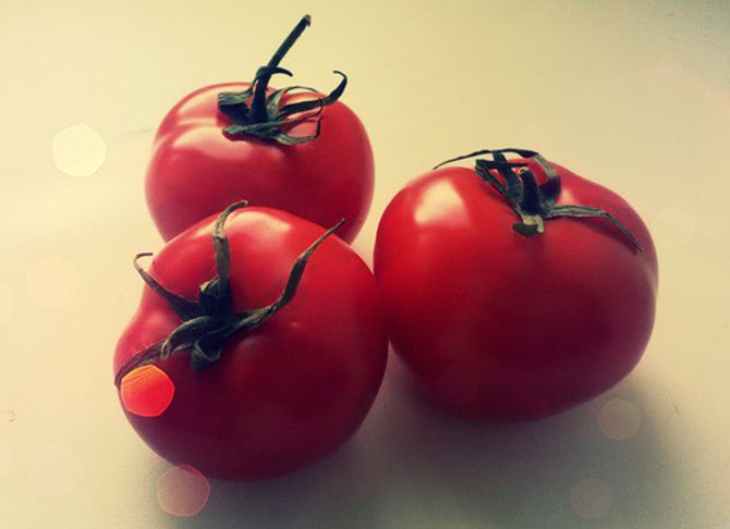 Tomate