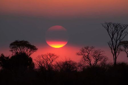 Okavango (Botswana)