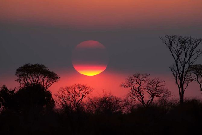Okavango (Botswana)