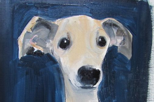 Sally Muir
