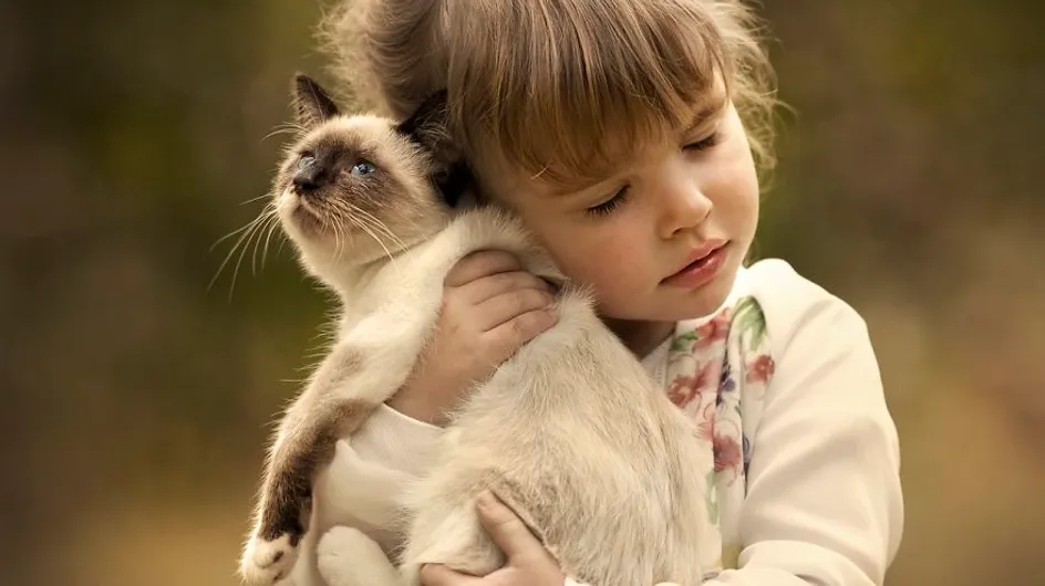 ¡Adorables! Muérete de amor con las mejores imágenes de niños y gatitos jugando