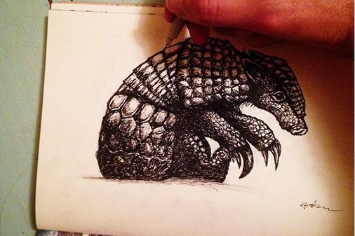 A de Armadillo