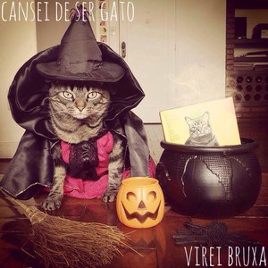Cansei de ser gato