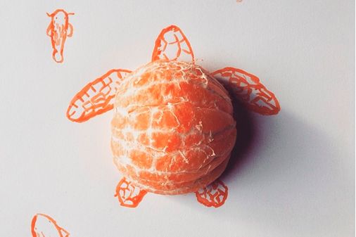 Ilustrações com objetos do cotidiano