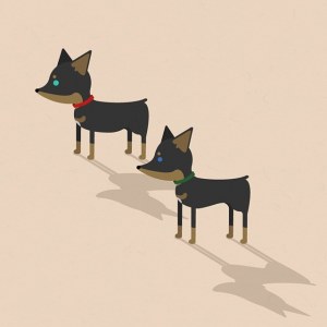 Puppy Project