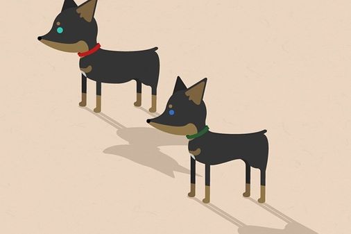 Puppy Project