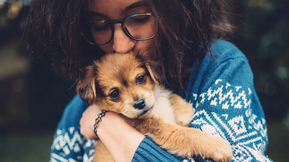 17 coisas que você não pode dizer a uma dog lover