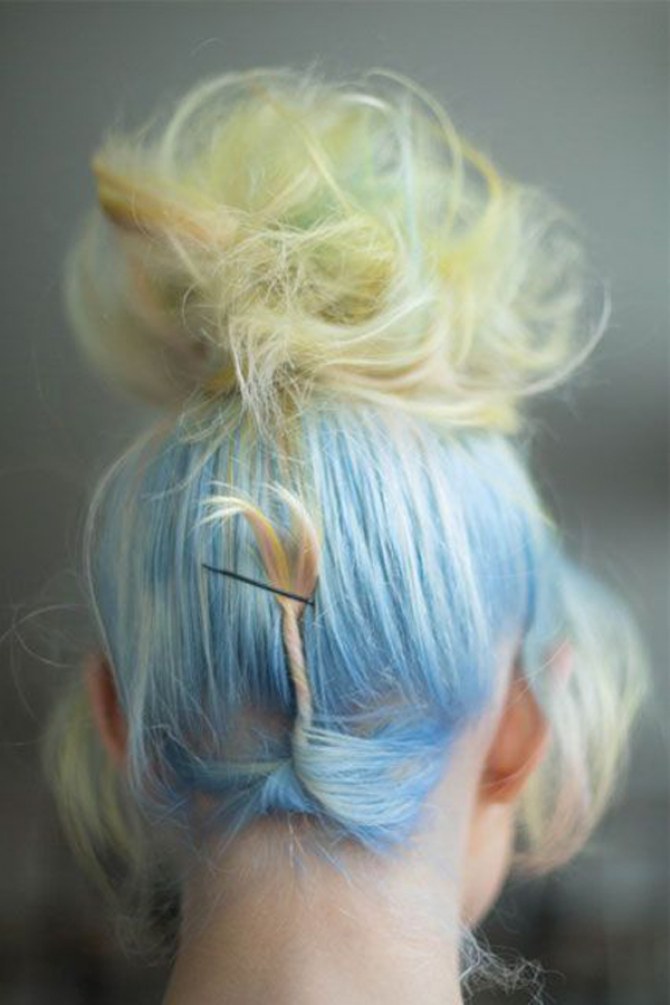 Betta-Fish-Hair