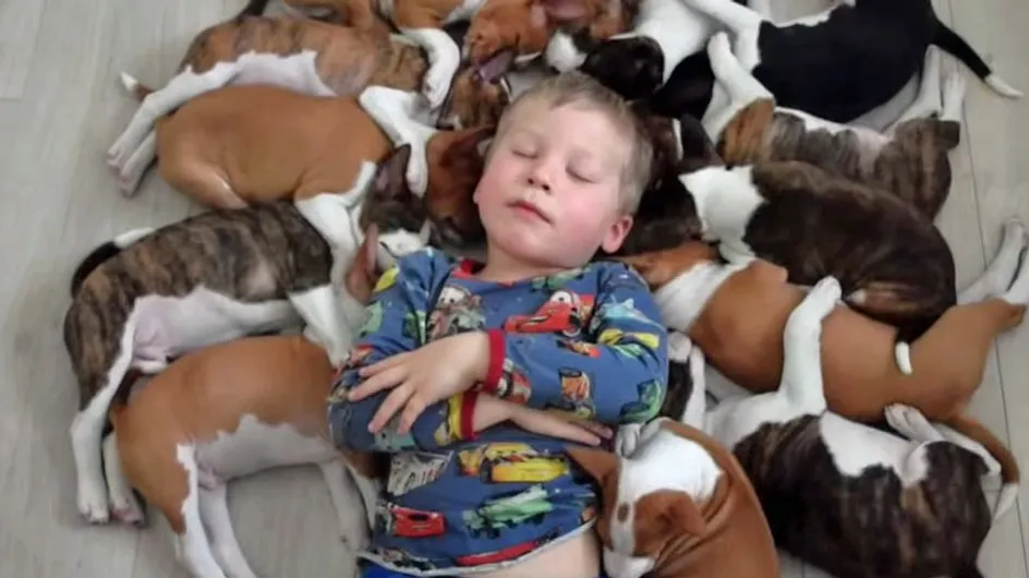 [Vídeo] Así es el divertido día a día de esta familia con dos niños pequeños y 16 cachorritos