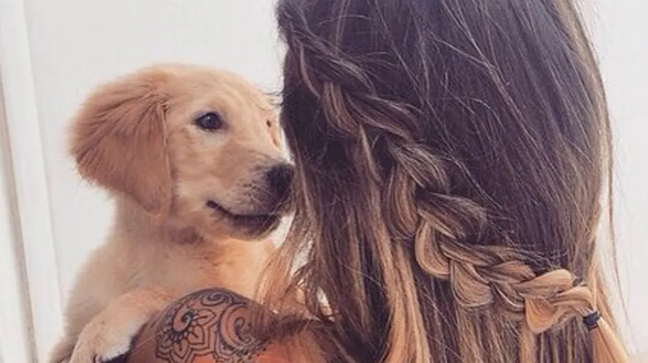 17 Things You Should Never Say To A Dog Lover