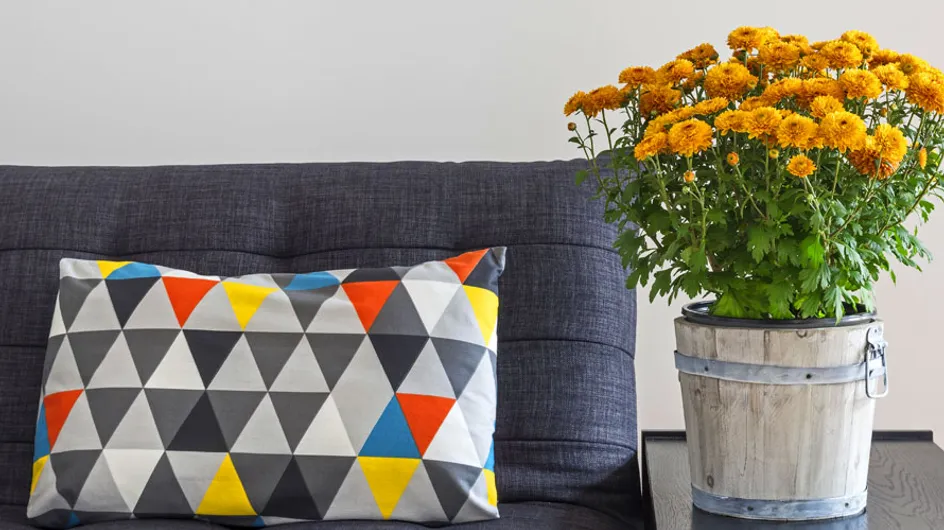 30 maneras originales de decorar tu hogar con plantas de interior