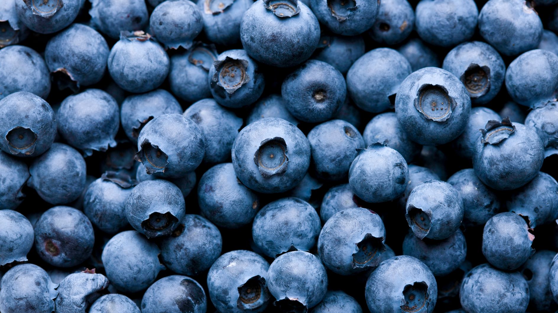 8 Surprising Health Benefits Of Eating Blueberries