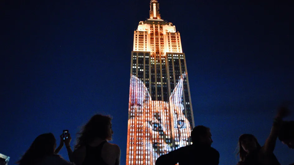 L'Empire State Building s'illumine pour les animaux en danger