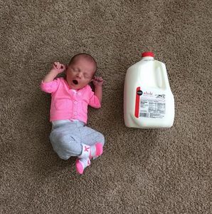 Baby vs. Milch