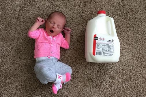 Baby vs. Milch