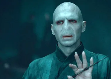 22 Memes That Have Us Calling Voldemort He Who Should Not Be