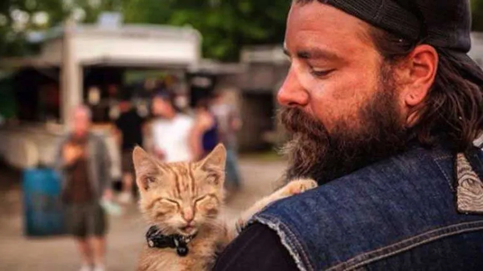 Il sauve un chat abandonné et l'emmène avec lui faire le tour des Etats-Unis