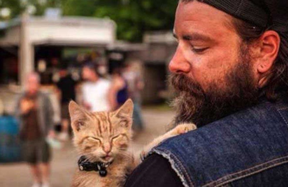 Il Sauve Un Chat Abandonné Et Lemmène En Roadtrip Avec Lui