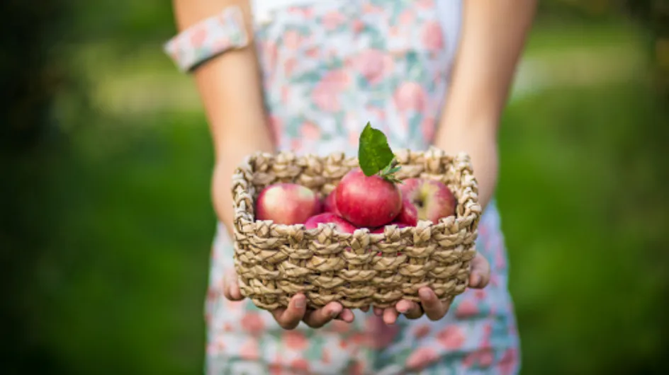 5 choses qu'on adore de la cueillette de pommes
