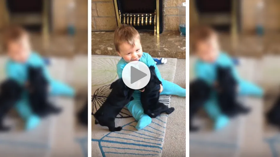Les bisous de ces deux chiots font beaucoup rire ce bébé (Vidéo)