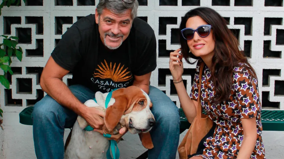 A família de George e Amal Clooney cresceu! (calma, não é o que você está pensando)