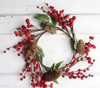 Plantas de Navidad: descubre sus curiosidades y cuidados