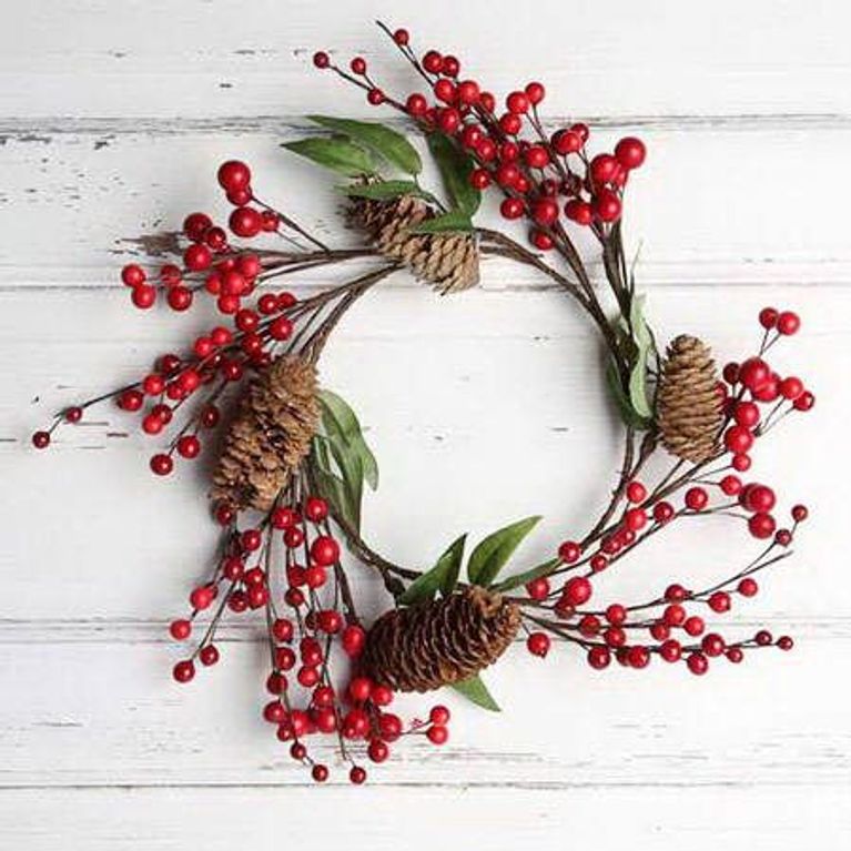 Plantas de Navidad: descubre sus curiosidades y cuidados