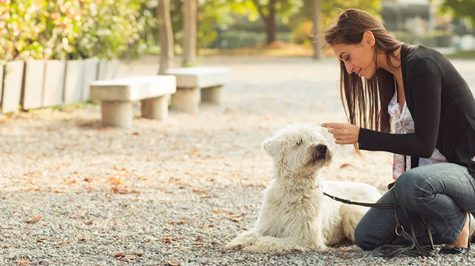 Por que adotar um cachorro pode mudar a sua vida