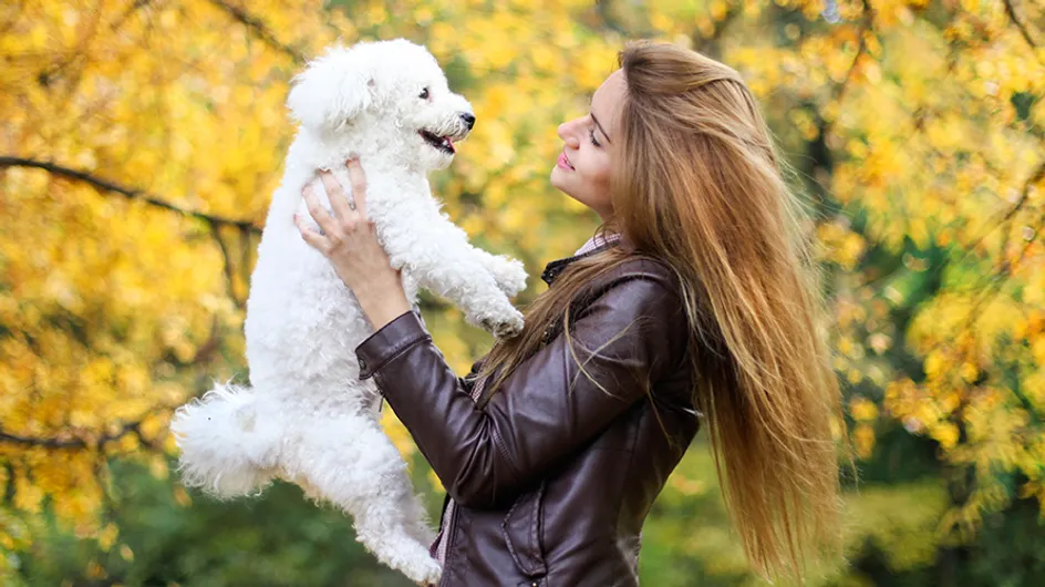 13 provas de que é melhor ter um cachorro do que um namorado