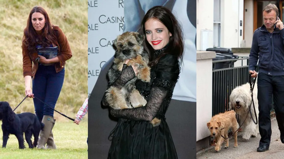 42 Celebrities And Their Adorable Pooches, Just Because