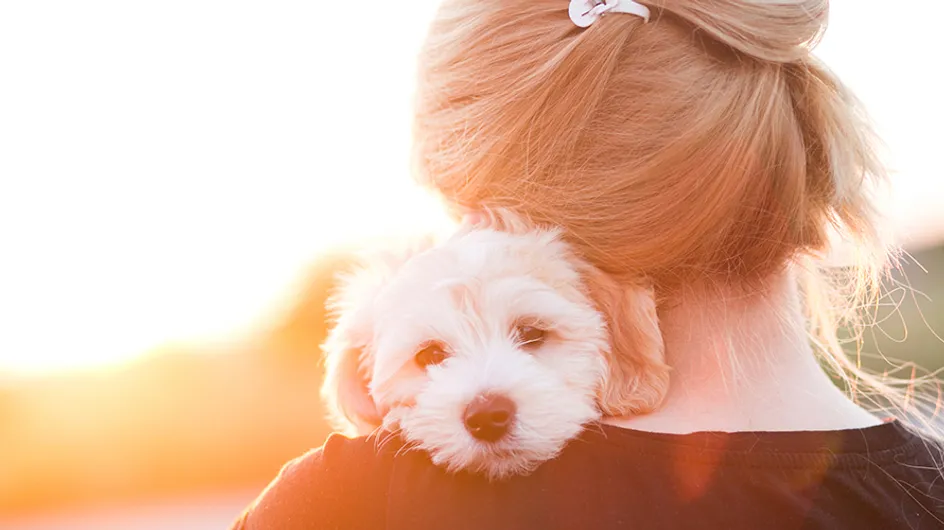 9 lições de amor que você pode aprender com seu cachorro