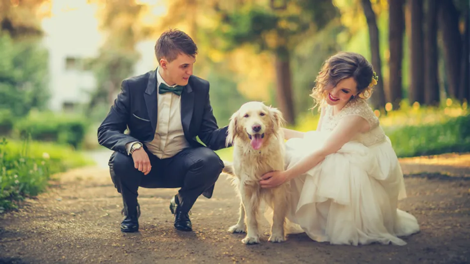 ¿Dejarías que tu perro grabara el vídeo de tu boda?