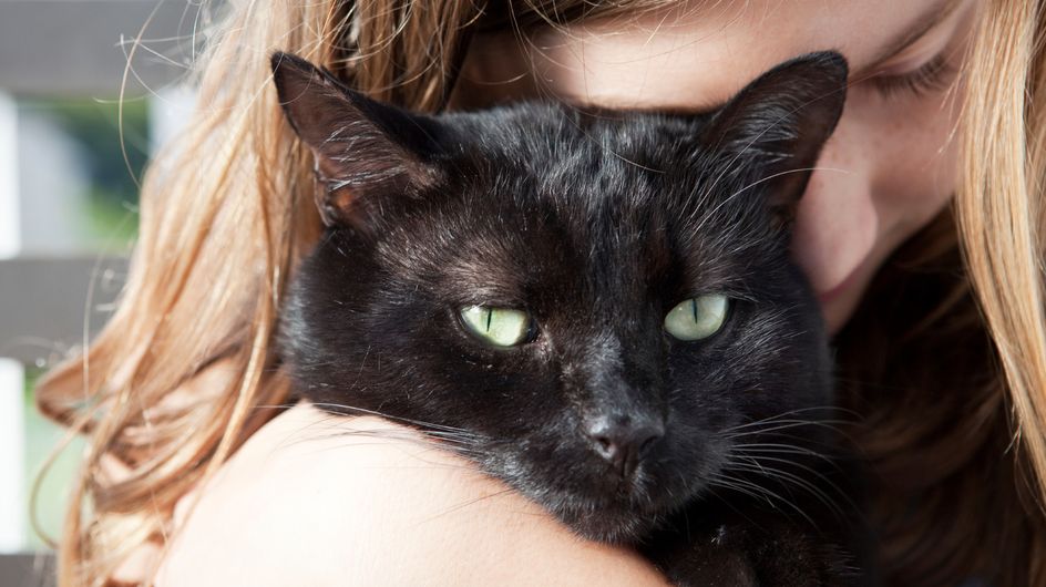 Comment faire le deuil d’un animal de compagnie