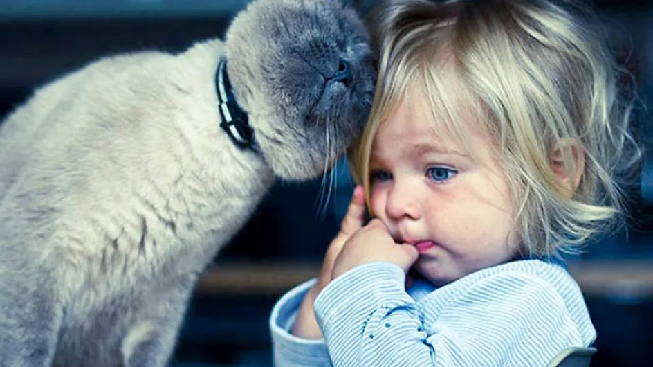 20 imágenes que demuestran que los niños necesitan una mascota
