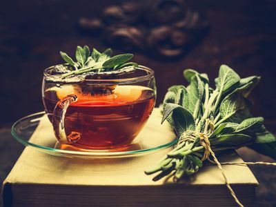 1. Beber té