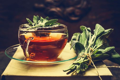 1. Beber té