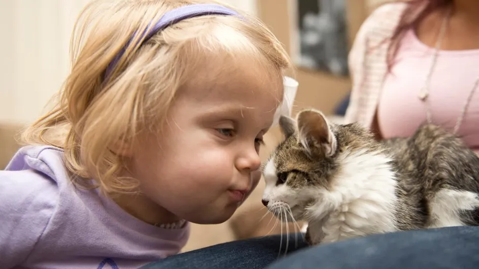Cette petite fille amputée a trouvé son meilleur ami chat (Vidéo)