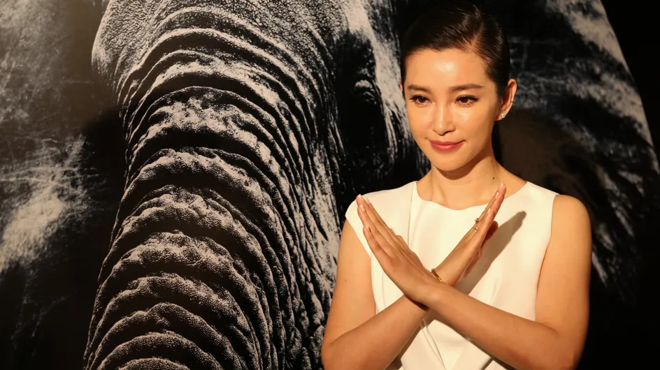 Hong Kong va enfin bannir le commerce de l'ivoire sur son territoire