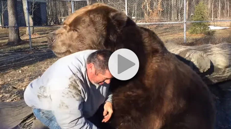 L'émouvante vidéo du câlin entre un homme et un ours