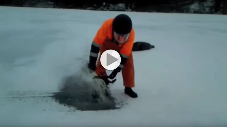 Cet homme sauve la vie d'un phoque bloqué par la glace