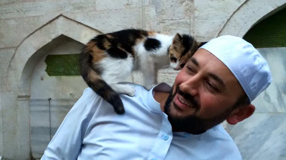 En Turquie, un imam ouvre les portes de sa mosquée aux chats pour leur venir en aide (Photos)
