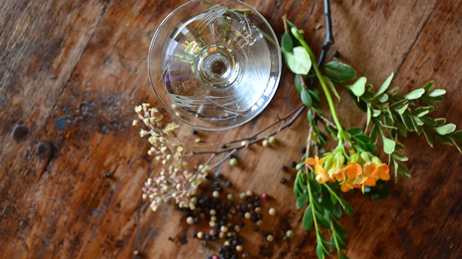¡Día del gin tonic! 35 regalos muy originales para una amante de la ginebra