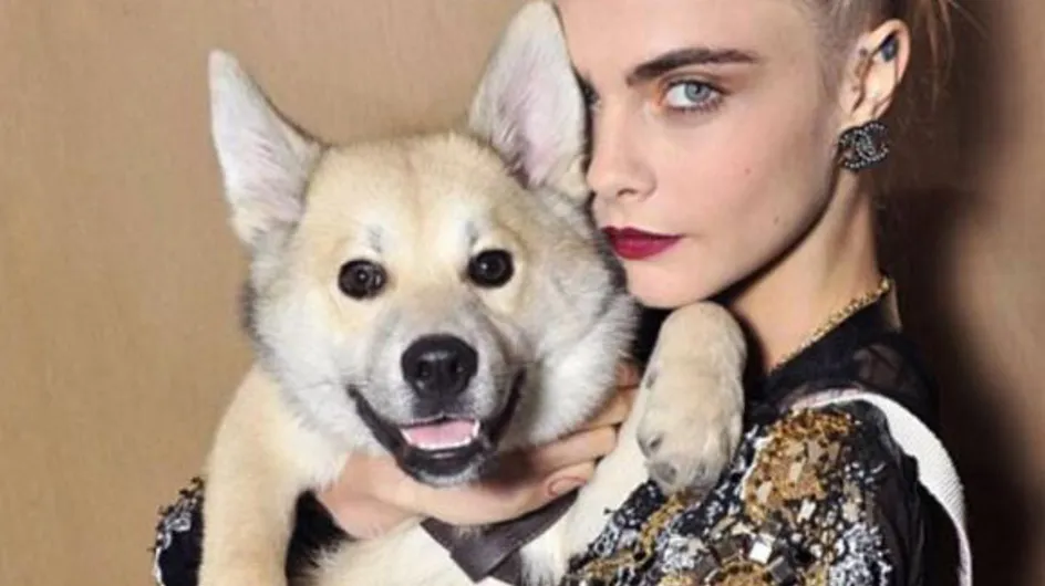 WTF : Le chien de Cara Delevingne au premier rang du défilé Chanel