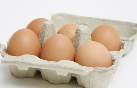 Eier