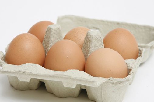 Eier