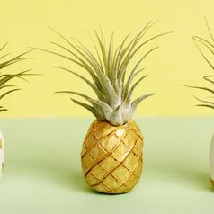 Decoracion Retro - Como decorar tu casa estilo retro