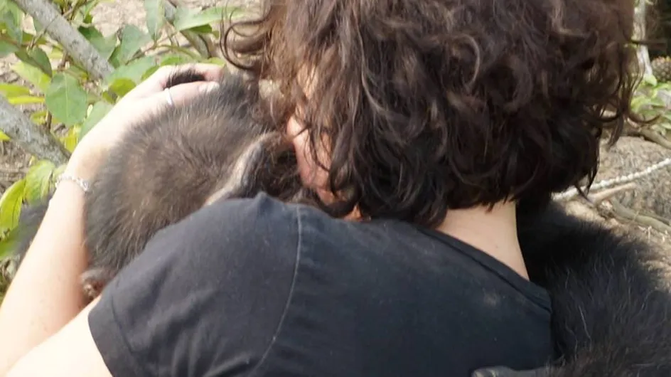 Abandonné pendant 3 ans sur une île, un chimpanzé accueille ses visiteurs les bras ouverts (Photos)