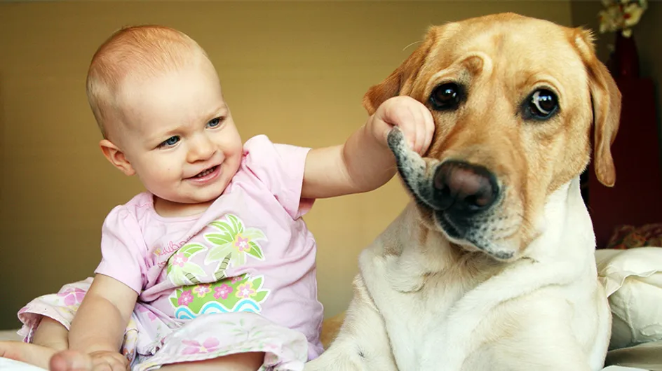 25 imágenes que prueban que niños y mascotas están hechos los unos para los otros
