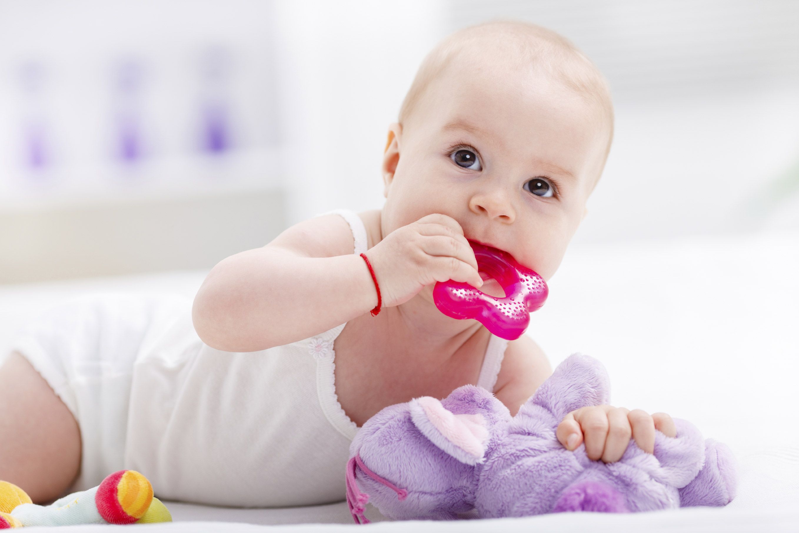 Bébé a huit mois : Alimentation, éveil, jeux d'un bébé de 8 mois